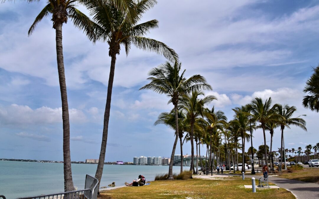 What Are My Rights If I’m Pulled Over in Florida? A Sarasota–Manatee Guide